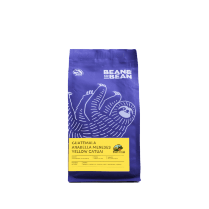 Guatemala Santa Felisa Yellow Catuai