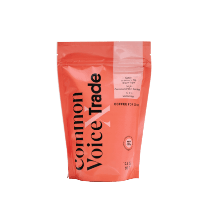 North Star 8 | El Triunfo Gesha